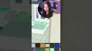 THE INVERTED COLORS CHALLENGE 