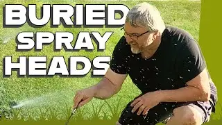 Finding Buried In-Ground Irrigation Spray Heads #irrigation #irrigationsystem #lawnsprinklers