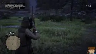 RDR2 unlimited hair pomade