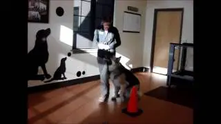 Rehabilitation Home Exercises - Figure 8