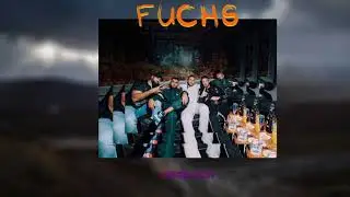 🦊