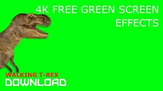 GREEN SCREEN FX - 4K WALKING T-REX