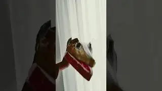 Toți dragonii vor sa fie pe camera 😅😬