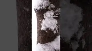 Зима в Грозном❄️                 Северная часть столицы Чеченской Республики покрывается снегом.