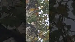 Мы всего лишь гости в этом мире.....
