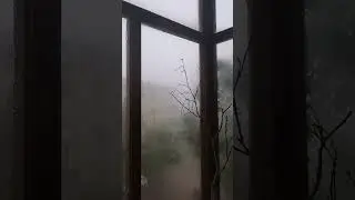 Шторм озвучка оригинал за кадром я😁