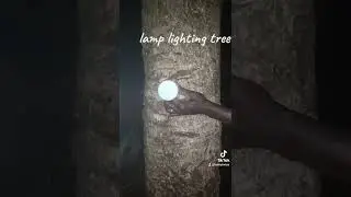 Electric tree