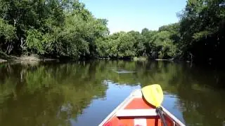 Tippecanoe River Solo canoe trips, Tippecanoe River State Park, Winamac, Indiana