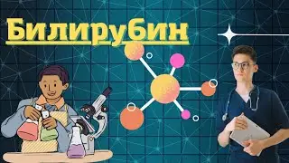 Биохимия Билирубина