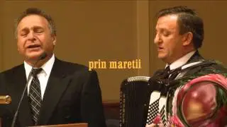 Florin si Eugen Pal - Mi-e dor de tine, patria mea  (mix)