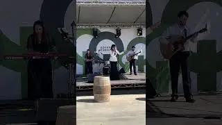 Выступление трио Алёны Корневой в Долине Лефкадия