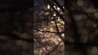 Волжский  05.02.2024г.