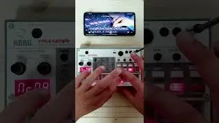 Volca Sample | Sample Pack: Vintage Vibes vs Modern Analog 
