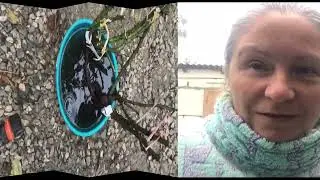 Ура!! Пришли мои новинки Остина!! Новые розы от АГротеха