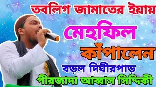 পীরজাদা আব্বাস সিদ্দিকী ভাইজানের বড়ল দিঘীরপাড় কাপানো ওয়াজ/Furfura Sharif/Pirzada Abbas Siddique