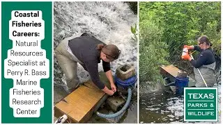 Coastal Fisheries Careers | Perry R. Bass Marine Fisheries Research Center Fisheries Biologist
