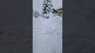 Winter hat voll zugeschlagen.