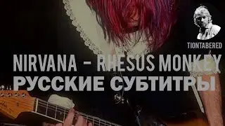 KURT COBAIN - RHESUS MOKEY ПЕРЕВОД (Русские не понятные субтитры)