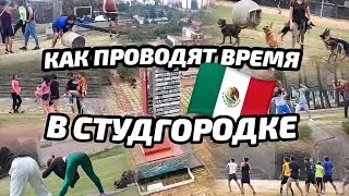 #39. Студенческий городок университета в Мехико