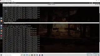 21  Creating Decoys during scan with Fragmented Packets