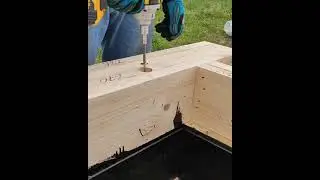 Гайковерт dewalt DCF894 N.
