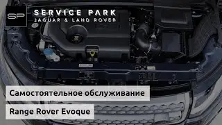 Как самому сделать техобслуживание Range Rover Evoque