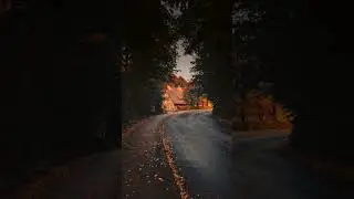 The autumn, #changehappens  #ludovicoeinaudi #ludovico #autumn