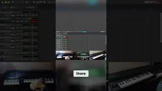 Discover the Best Loops for Your Productions with Prime Loops