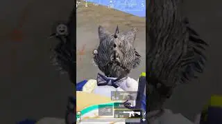 Pgmi short S Video 3.3 update 