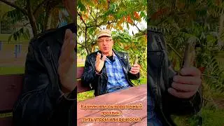 Казеин и сывороточный протеин: какой лучше пить утром, а какой вечером?