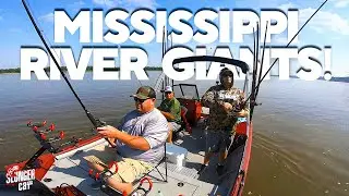 Catching River Giant Bluecats on the Mississippi River! Cat Fishing With Chris Souders
