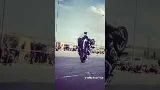 Дыбы на Харли! 