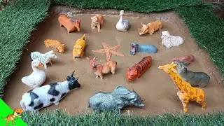 African Safari Animals Stuck in Mud! | Wildlife Education for Kids | dino World TV