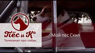 Х/ф 