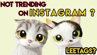 Instagram followers