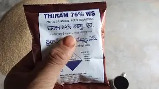 THIRAM 75% WS Contact Fungicide / बीज उपचारित करने की दवा