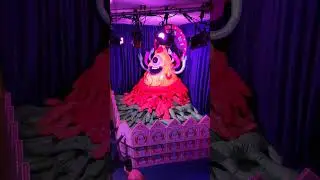 Meow Wolf Denver