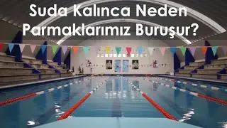 SUDA KALINCA PARMAKLARIMIZ NEDEN BURUŞUR ?