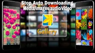 How to Stop IMO auto downloading and saving of media images audio video in my Phone