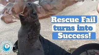 Failed Rescue Turns into Rescue Win