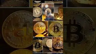 bitcoing partisi