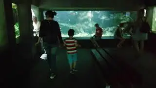 Aquarium in the Zoo, Cologne