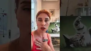 Мой кот заболел🥹#кот #животные