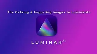 Adding & Removing Images in Your Catalog