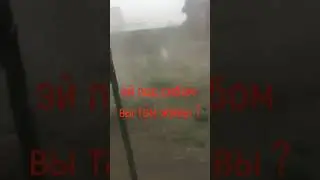 1 июля 2023 г.