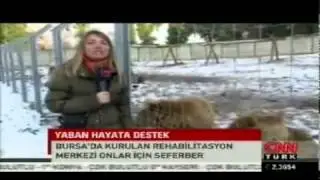 Merkezimiz CNN Turk Ana Haber'de
