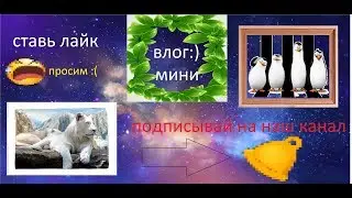 VLOG: поехали в титан / заряжаем Машин телефон/идём по ночной Мухле