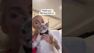 I have something to say… #kitten #catsofyoutube