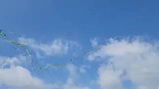 Kite in San Diego with 150 foot tail
