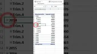 como usar fecha en las tabla dinamicas en Excel (Fecha en tablas Dinamicas) 